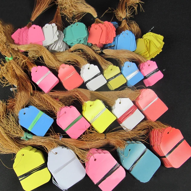 100Db/Készlet Tenyésztési Címke Kertészeti Üzem Pvc Vízálló Függő Jel Húsos Óvodai Stock Virágok Címkézés Csepp Aa - Image 5