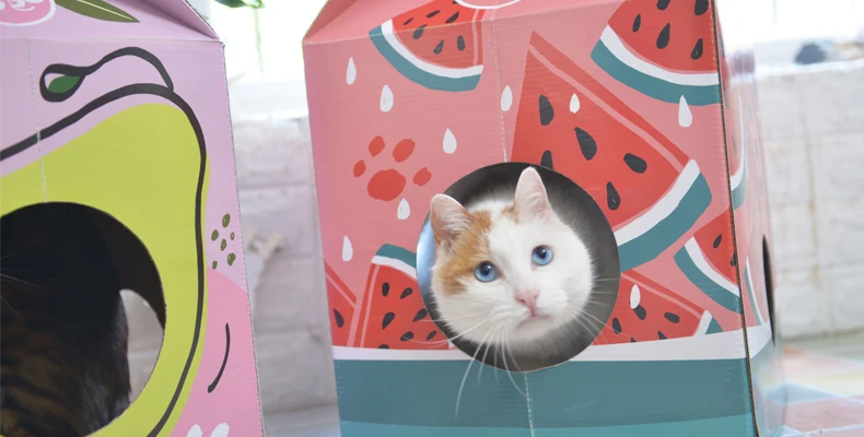 [MPK Store] японская кошачья скретч доска, кот котенок диван, кошка игрушка