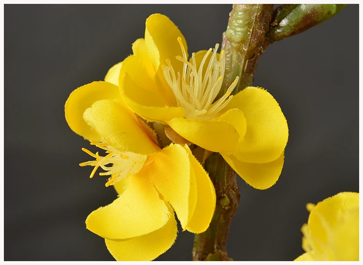 30 Wintersweet Product Detail