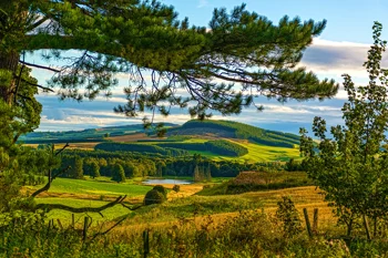 

Home decoration greens summer the sun trees lake hills field Scotland the bushes meadows forever Silk Fabric Poster Print JZK517