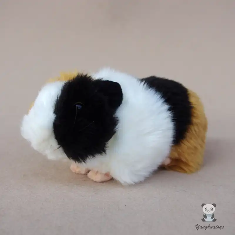 guinea pig toy for kids
