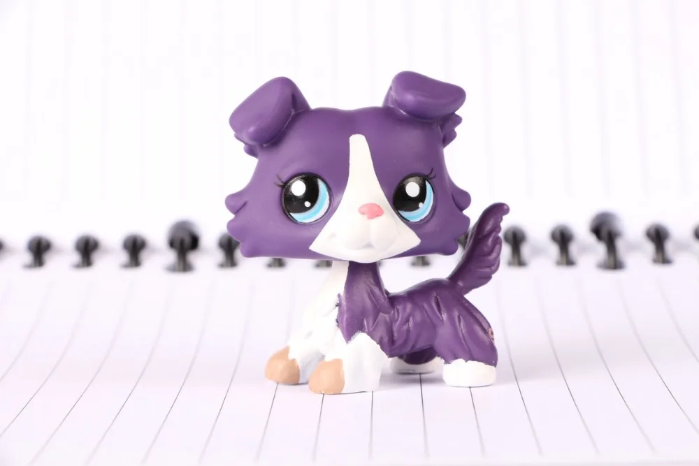 New Pet Collection Figure LPS 1676 Calendar Purple Collie Puppy Dog Kids font b Toys b