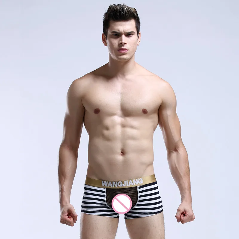 

Brand Sexy Striped Men Boxer Shorts Mens Cotton Underwear Man Underpants Breathable U convex Crotch Hollow Mesh