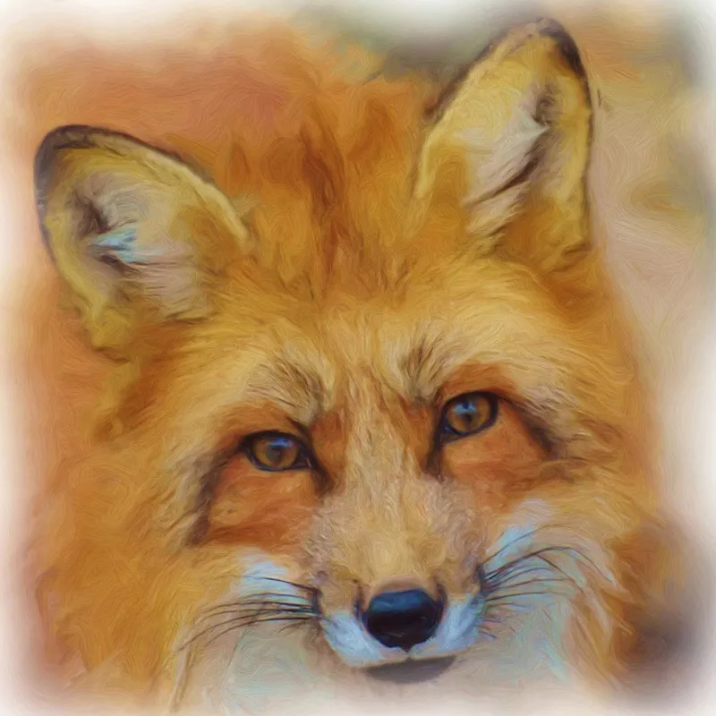 5d Full Square Round Drill Diamond Embroidery Smile Fox Mosaic Painting Art 3d Cross Stitch Home Decoration | Дом и сад