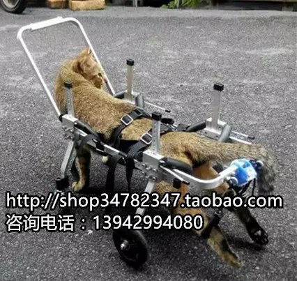 Pet font b wheelchair b font dog font b wheelchair b font small dog scooter Pet