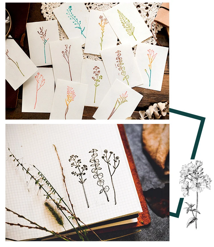 9697224836_1597187969