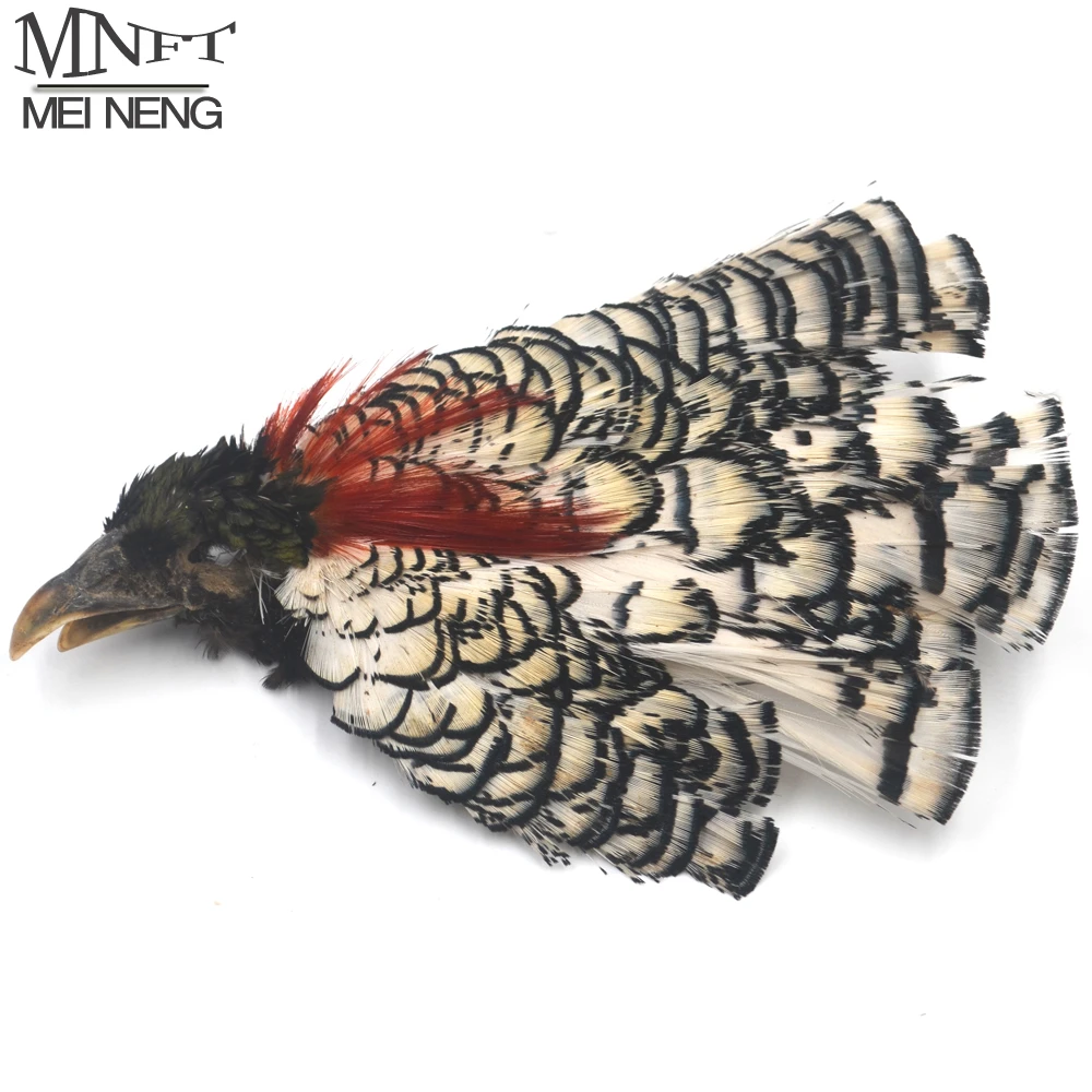 AMHERST PHEASANT COMPLETE HEAD NATURAL fly Tying Feathers Crafting fly tying