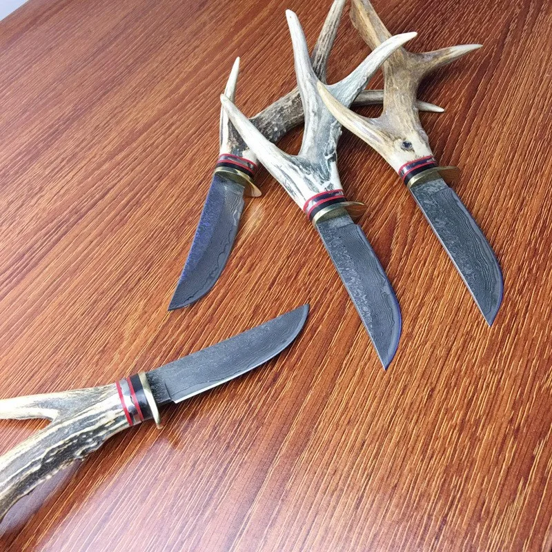 3111368862_742635196