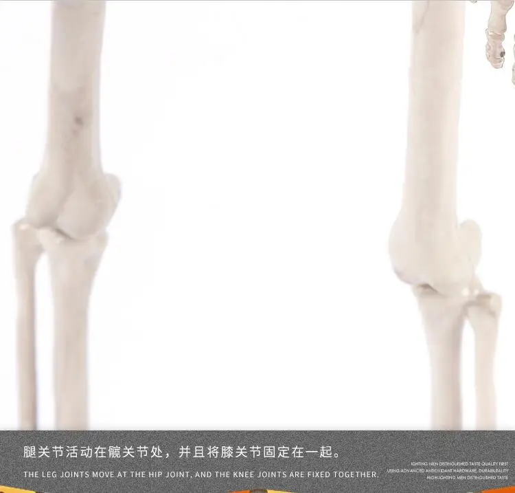 QQ20190226230812