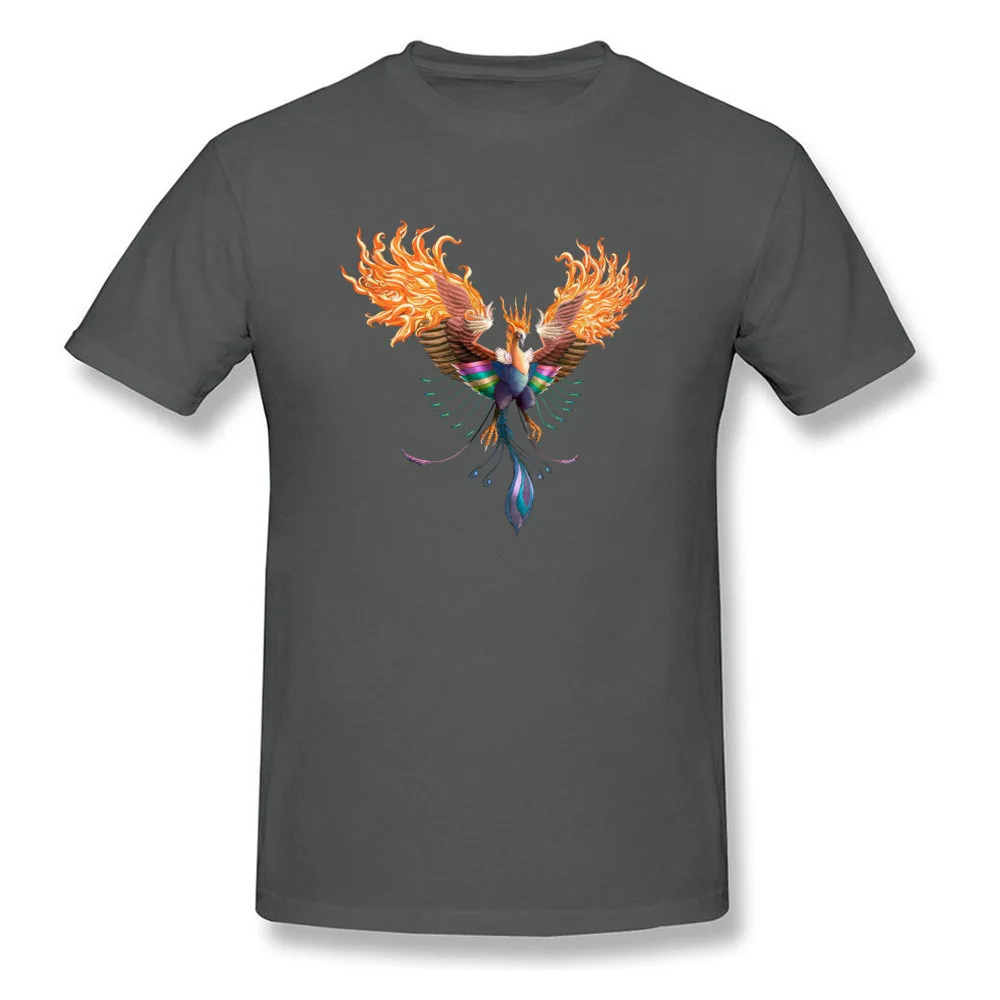 phoenix_transparent_png_by_darkmagician1211-d6wfoo0_carbon