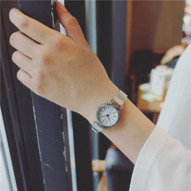 Простые женские модные элегантные серебряные часы бренд BGG полностью из нержавеющей сетки изысканные маленькие женские качественные часы - Цвет: S4