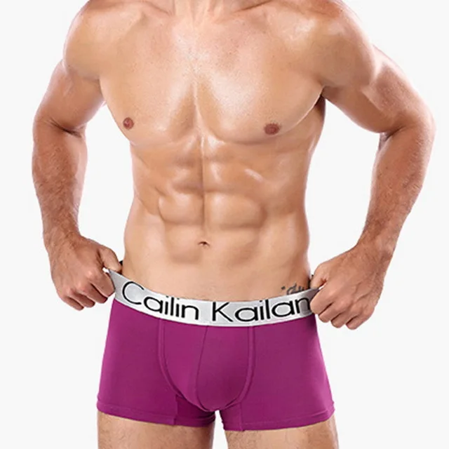 NIBESSER-Modal-Underwear-Men-s-Boxers-Breathable-Quick-Dry-Boxer-Man-Underwear-Cueca-Boxer-Men-Panties.jpg_.webp_640x640 (6)