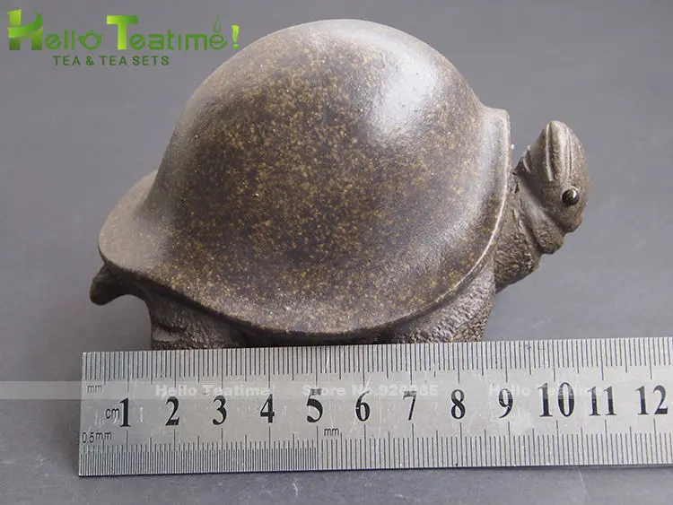 tortoise4