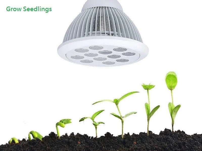 led grow lights 