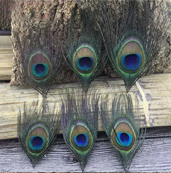 

20pcs Natural Peacock Eye Feather For Jewelry Postcard Photo Frame Bookmark Scrapbooking Making Craft DIY