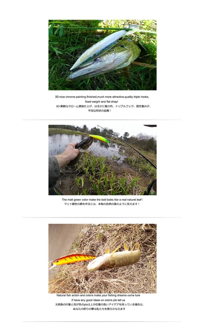 Bearking 11 cm 17g magnes wagi długi odlew nowy model połowów przynęty twarde przynęty nurkowania 0 8-1 2 m woblery jakości Minnow tanie i dobre opinie Rzeka zbiornik staw Ocean Boat Fishing Ocean Beach wędkowanie strumień jezioro na bearking O-BK-Z110 Sztuczna przynęta Bearking 11 cm 17g magnes wagi długi odlew nowy model połowów przynęty twarde przynęty nurkowania 0 8-1 2 m woblery jakości Minnow tanie i dobre opinie Rzeka zbiornik staw Ocean Boat Fishing Ocean Beach wędkowanie strumień jezioro na bearking O-BK-Z110 Sztuczna przynęta