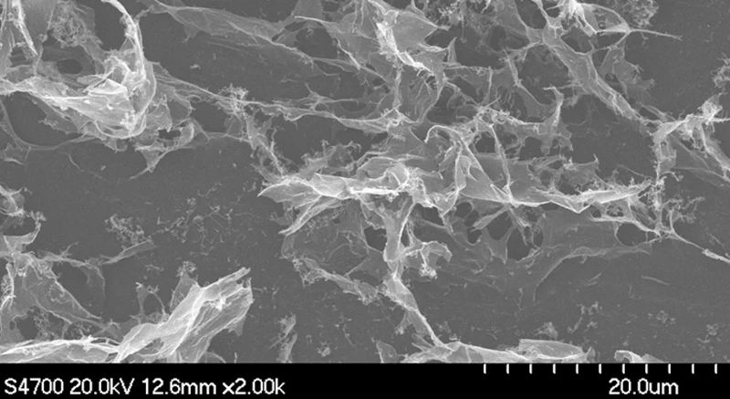 

NanoSmall size graphene oxide DSGO-99-1-150n