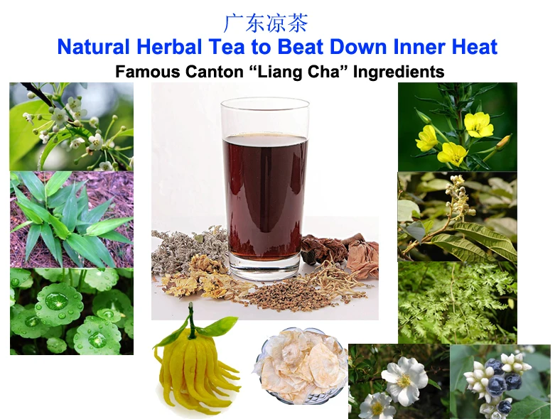

Natural Herbal Tea to Beat Down Inner Heat Famous Canton 'Liang Cha' Ingredients