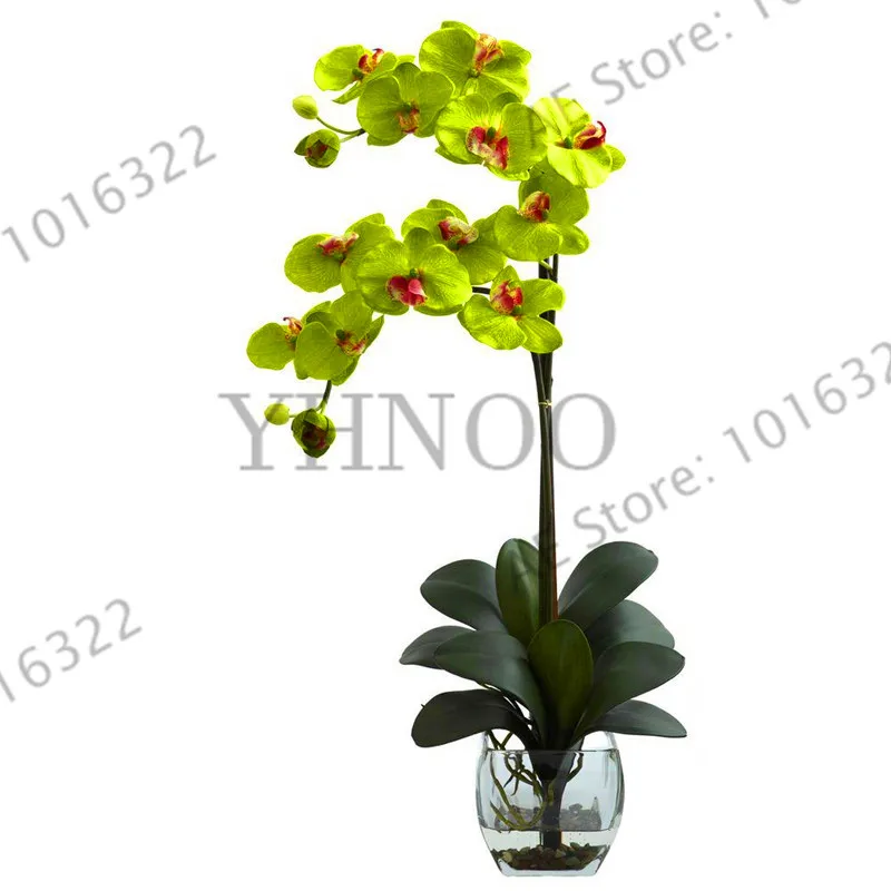 

Big Sale!100PCS orchid-plante Bonsai Flower flores for home garden Phalaenopsis orchid plantas Flowering Plants Potted for home