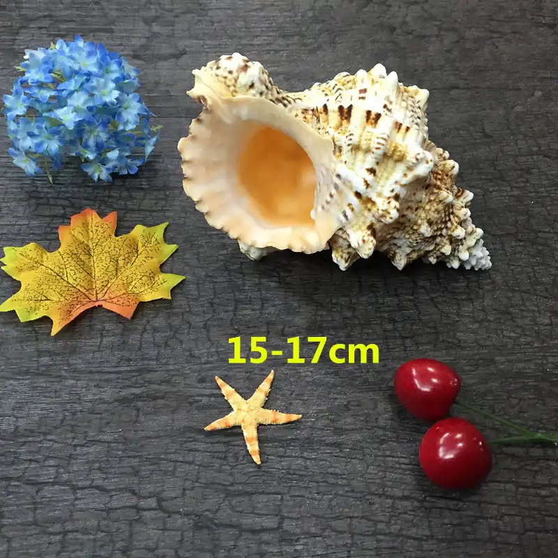 Download Decoraciones baratas tematicas de la playa For iPhone Decoraciones Baratas Tematicas De La Playa