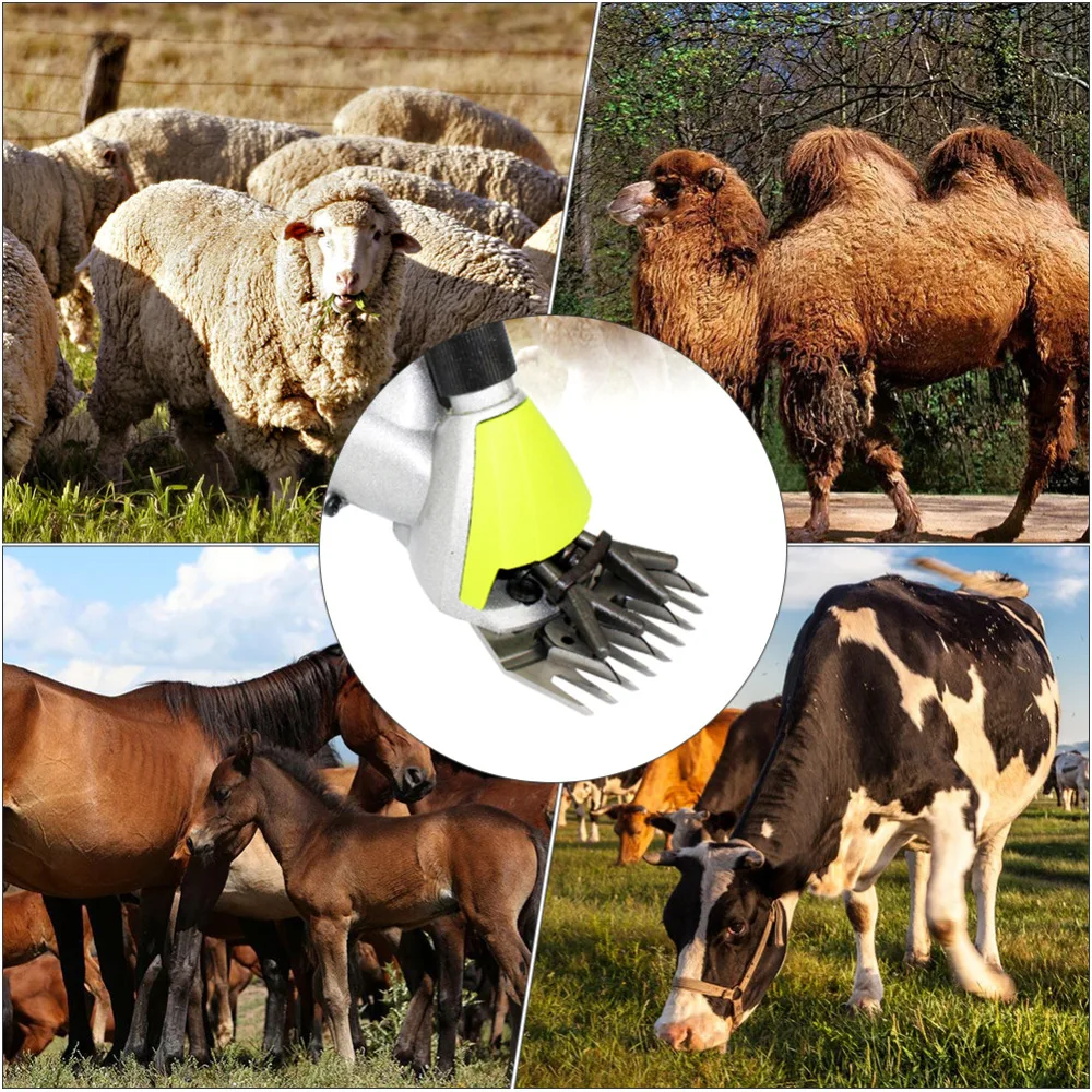 Electric Shearing Clipper (3)