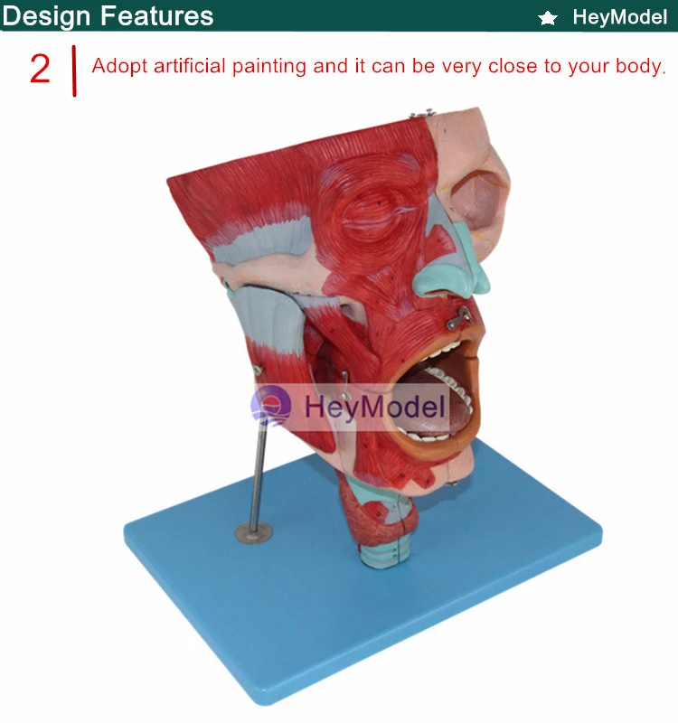 2. _