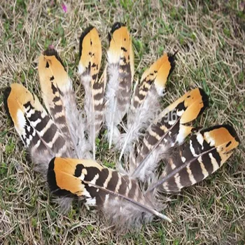 

Free shipping 20PCS!!!Beautiful natural brown-yellow pheasant feather 3-4 inch