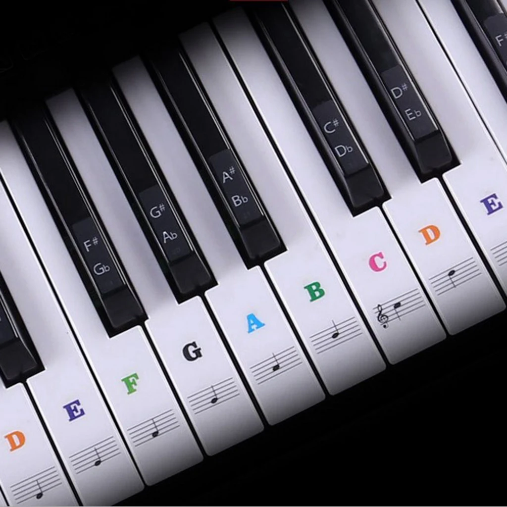 Beginners Piano Sticker 49/54/61/88 Key Music Note Lables Decals for Electronic Piano Parts