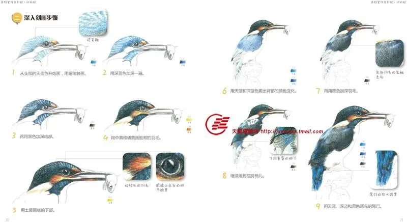 141 страницы китайский Цветной карандаш животных Brids Товары для кошек Живопись Рисунок Книги по искусству книги