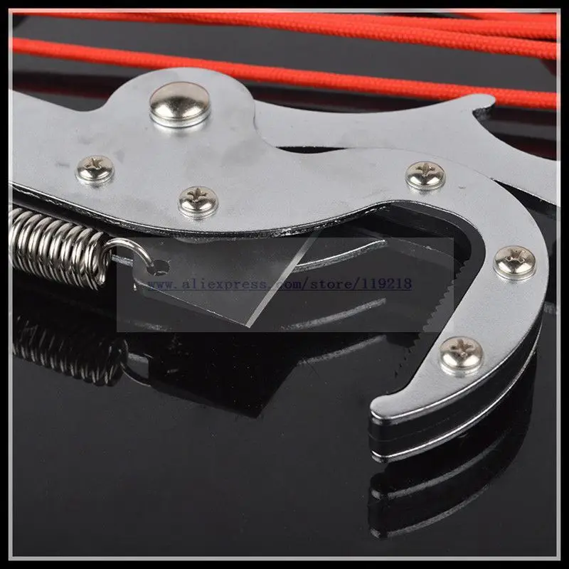 High-altitudecut-a0354