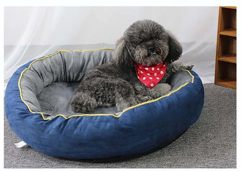 20190223_115842_012