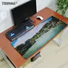 Computer Peripherals