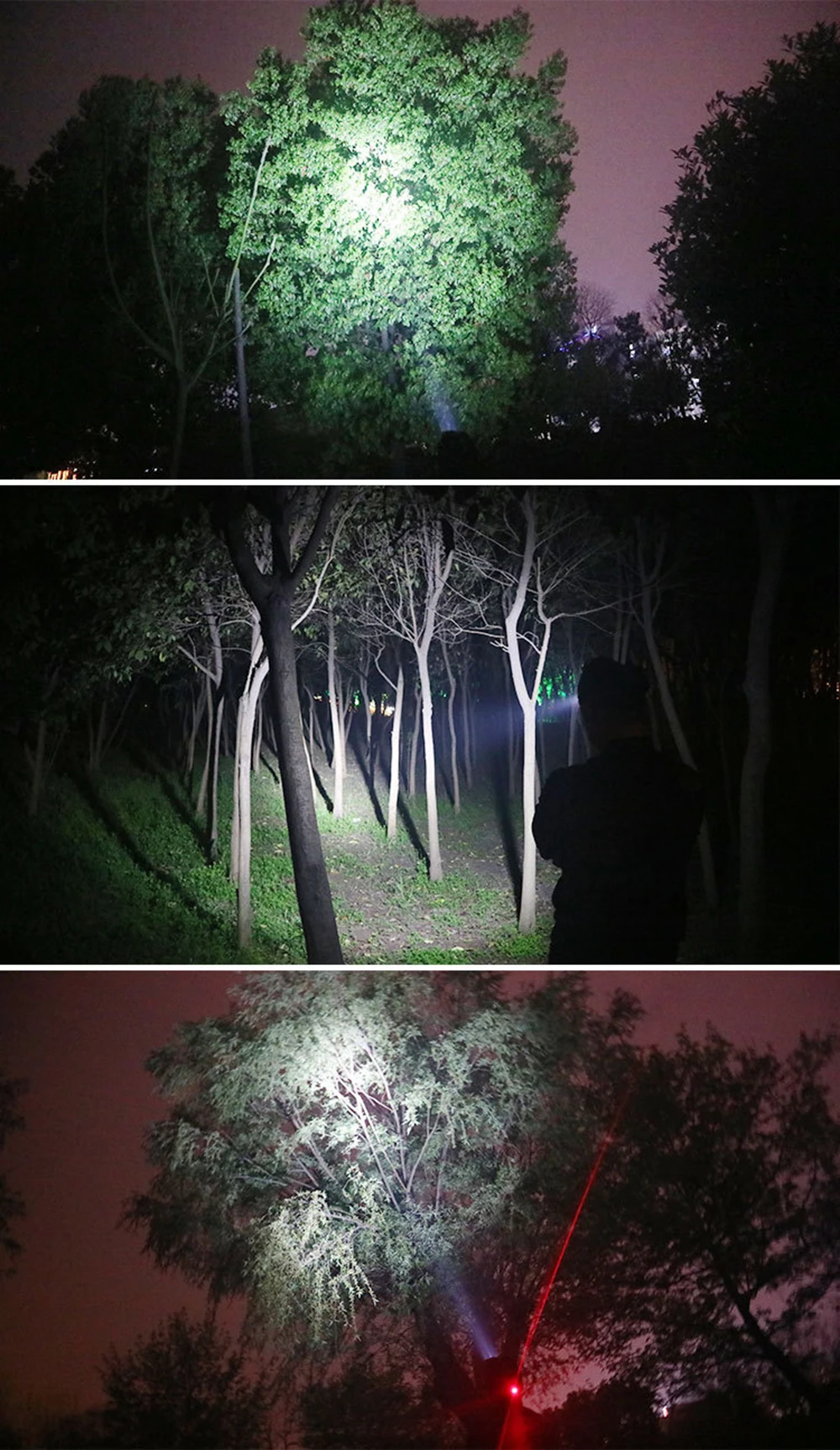 7495795745_1260756959