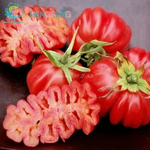 200PC big Zapotec ruffled tomato seeds, rare Mexican heirloom seeds, sweet flavor, scalloped slices, drought tolerant
