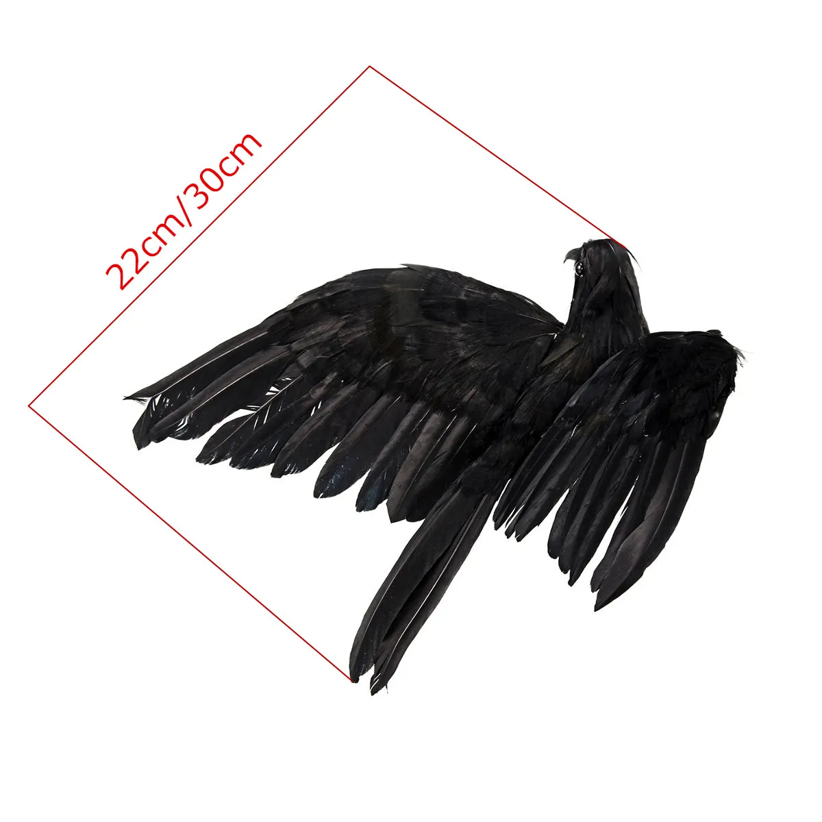 Ворон в полете. Вороны xcho текст. Мой дикий сад крылья вороны песня. Мой дикий сад крылья вороны. Вороны xcho текст.