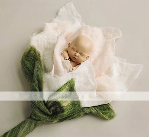 felt blanket baby photo shoot