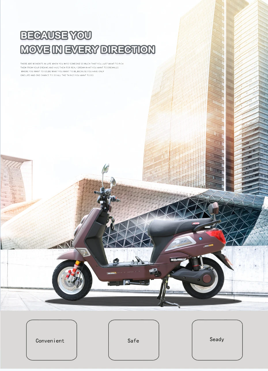 Discount Electric motor Motorcycle Electric Bike For Man Standard Type Made In Aluminum Alloy Frame With One/Two Seat Electric Scooter 0