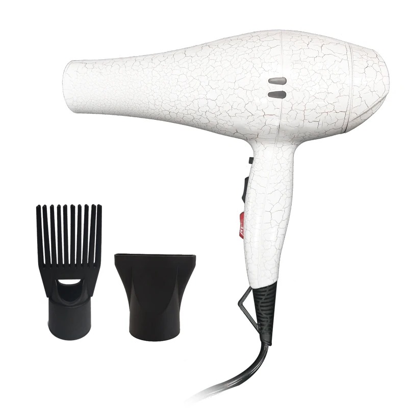 Professional Powerful Salon Hair Dryer Negative Ion Blow Dryer Electric