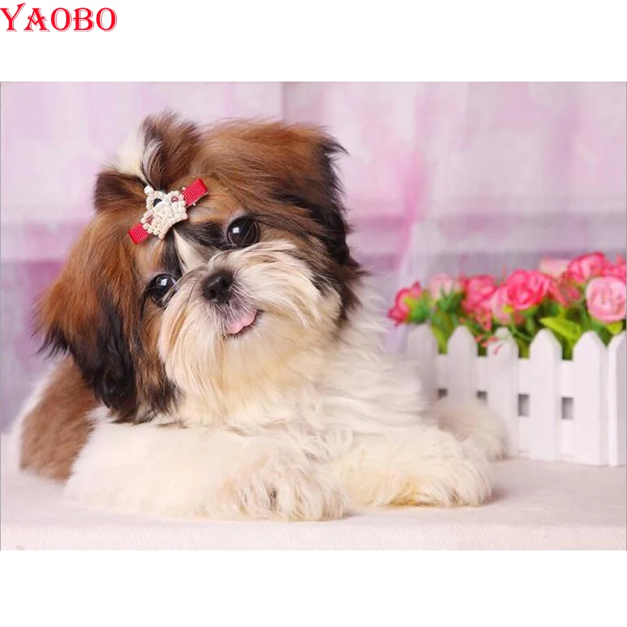 Полный квадратный круглый 5D DIY Алмазная картина &quotShih Tzu dog&quot Животные вышивка
