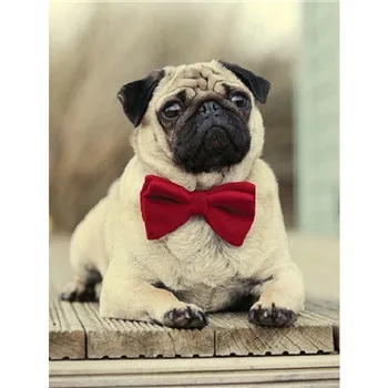 

YIKEE diamond painting pug dog 5d diy Full Square Diamond Embroidery Rhinestone Mosaic Painting Home Decor k543