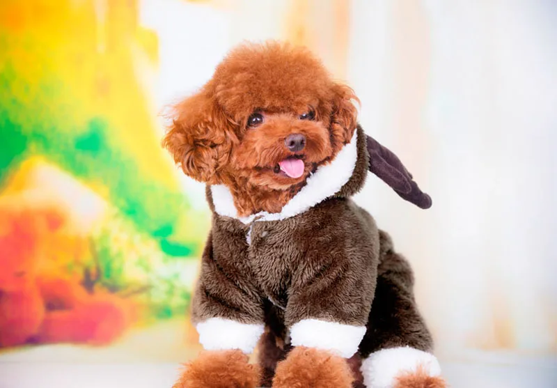 5790801715_1934469877