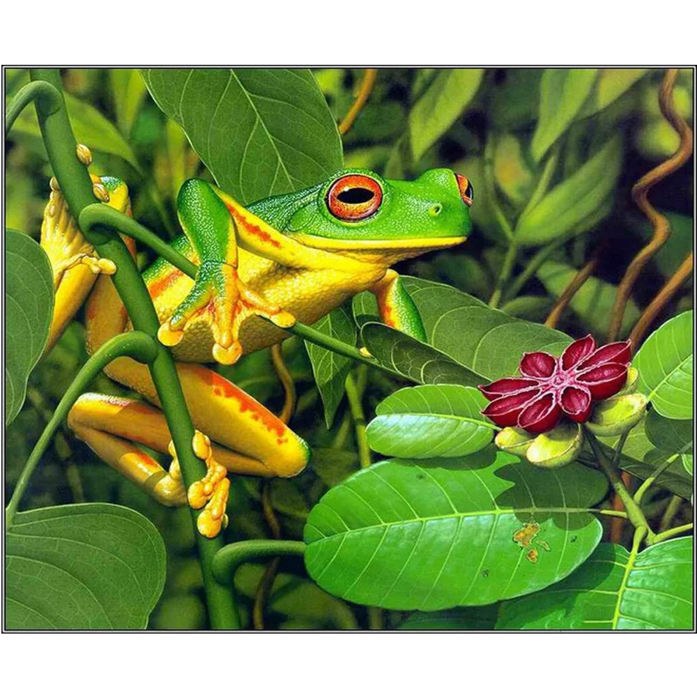 

2016 Explosion models DIY Diamond Painting Crystal 5D Cross Stitch Diamond Embroidery Square Drill Home Decor pattern Frog H487
