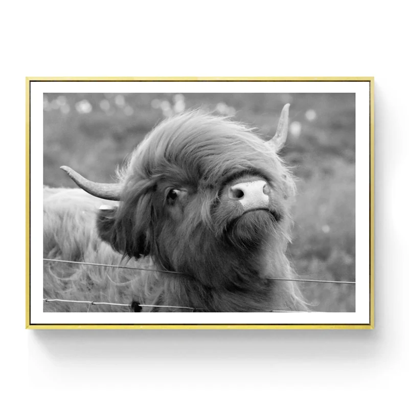  (2) 