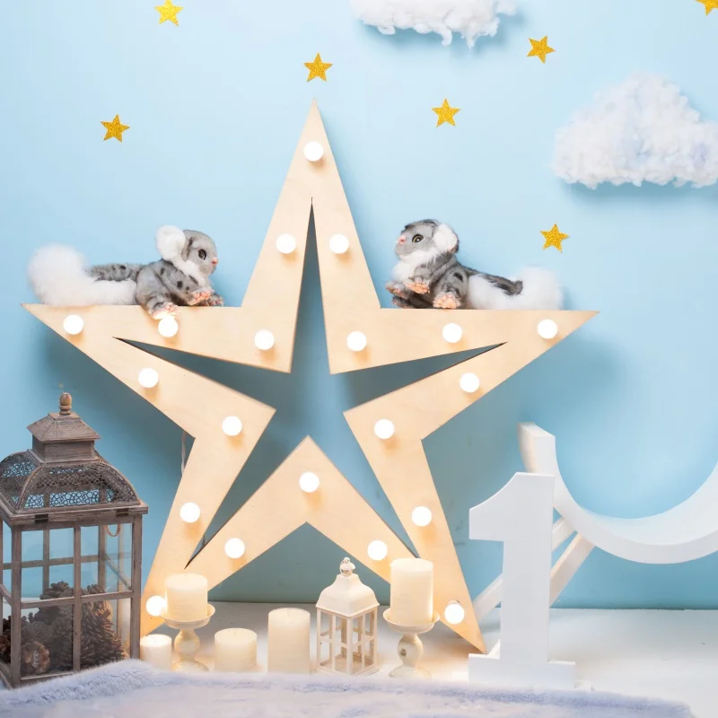 Laeacco Birthday Candle 1th Star Cloud Pet Gold Star Party Child Baby Photo Backdrops Photo Backgrounds Photocall Photo Studio