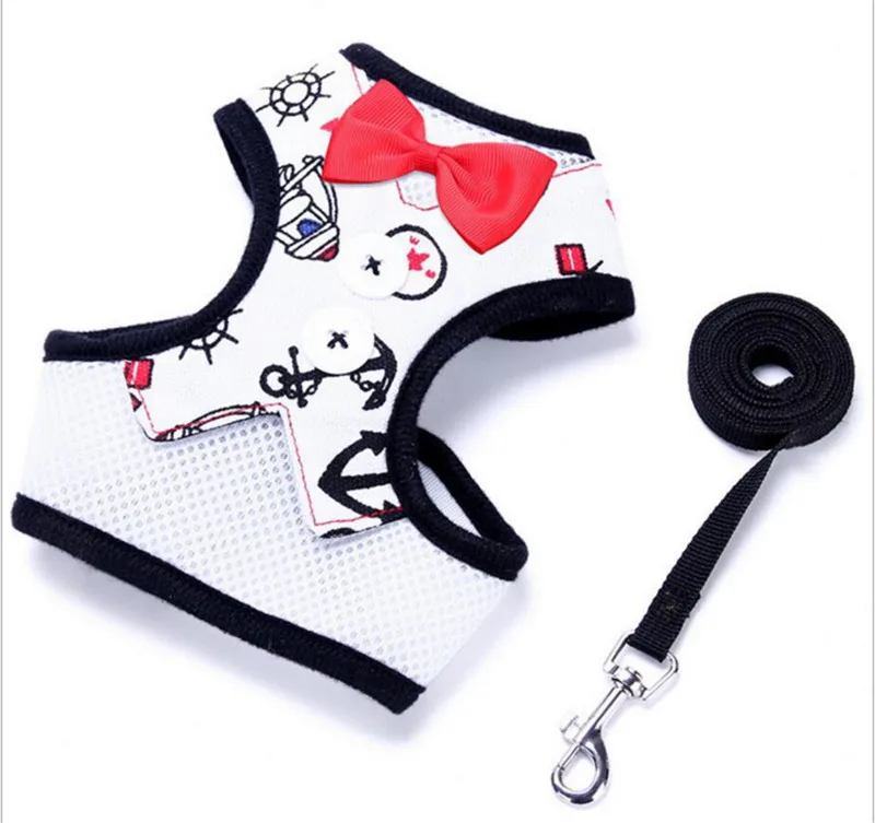 leash for dog (4)