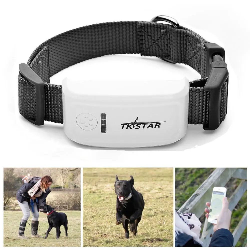 Fashion Mini Free Online Tracking Device Real Time LK909 with Collar