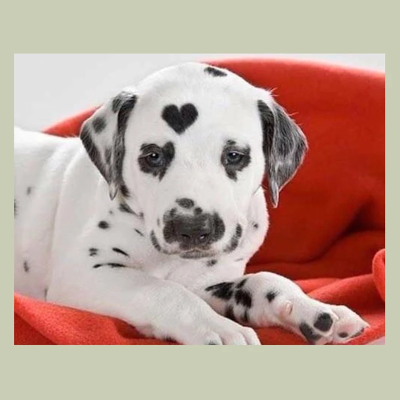 

Diy 5D Diamond Painting Diamond Embroidery Animal 3D Needlework Cross Stitch Animal Crystal Diamond Mosaic Kit Loving Heart Dog
