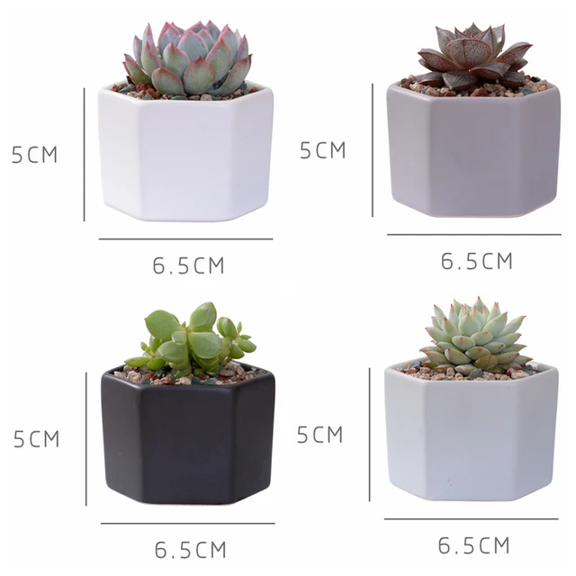 4pcs/set Matt Decorative Hexagon Flowerpot Mini Ceramic Succulent Plant Pots Desktop Flower Pot Bonsai Planter