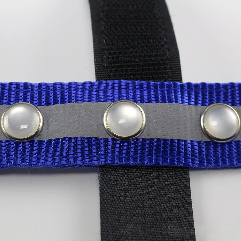 Equestrians Horse Head Straps LED for Horse Riding Horses Night Flash Belt Equitation Harness with Replacable CR2032 Battery Equestrians Horse Head Straps LED for Horse Riding Horses Night Flash Belt Equitation Harness with Replacable CR2032 Battery