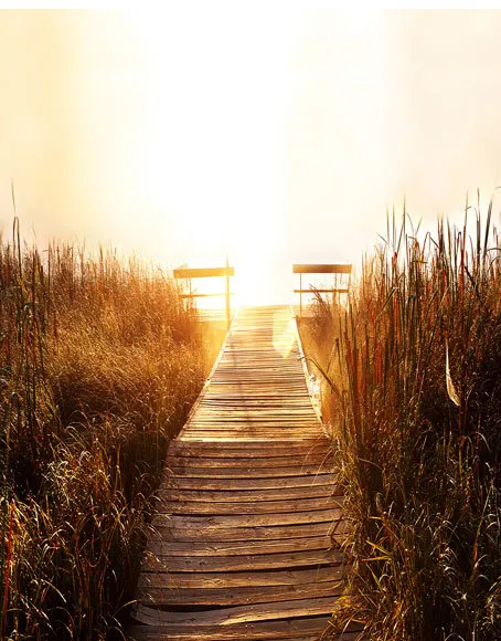 The rays of the setting sun on shore Photography Backgrounds Backdrops Computer Printed Digital Background150X220cm | Электроника